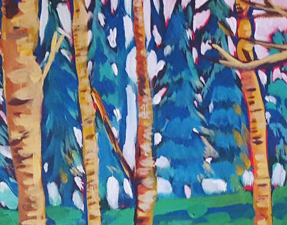 A closeup of the forest