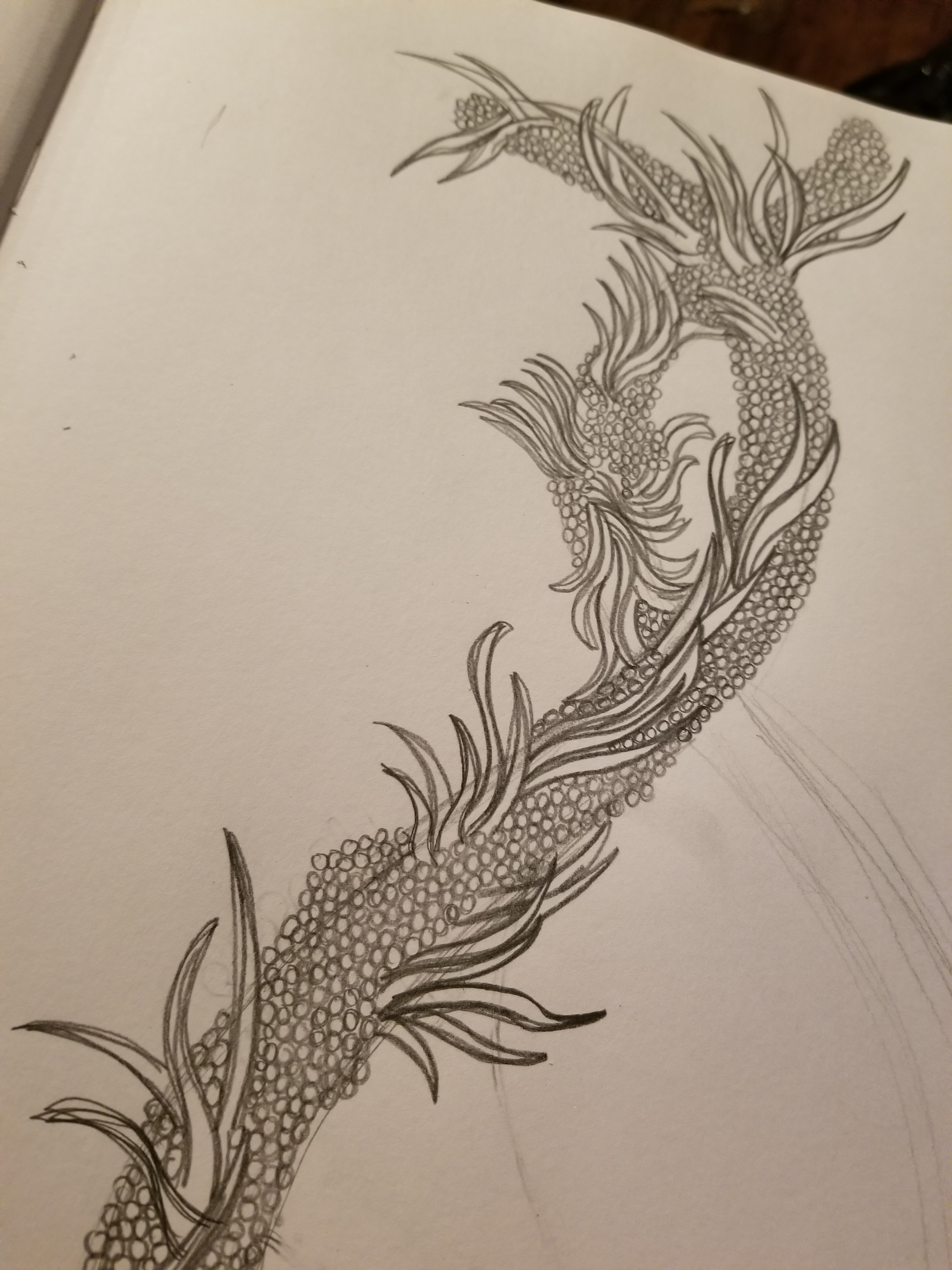 Drawing from biology