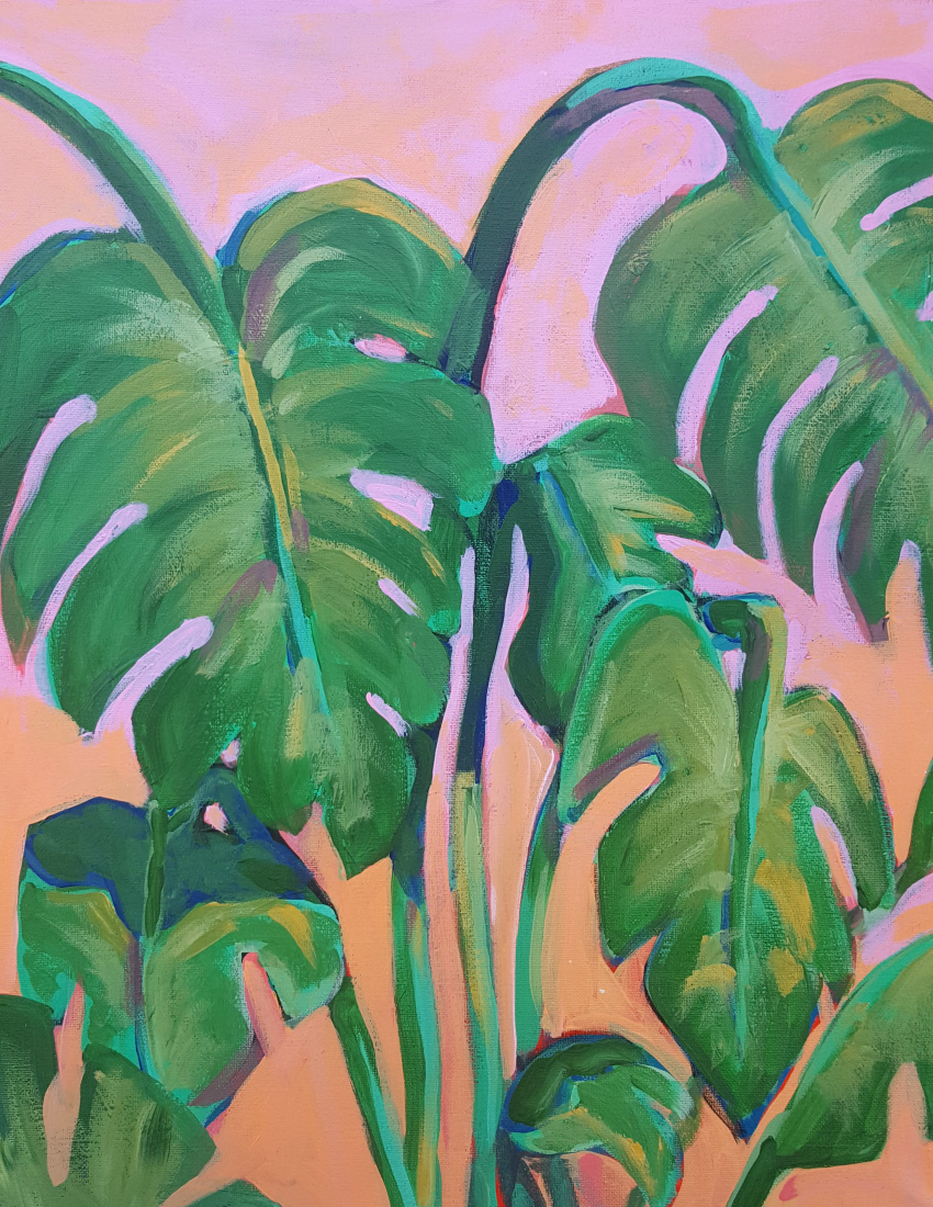 plants with pink background