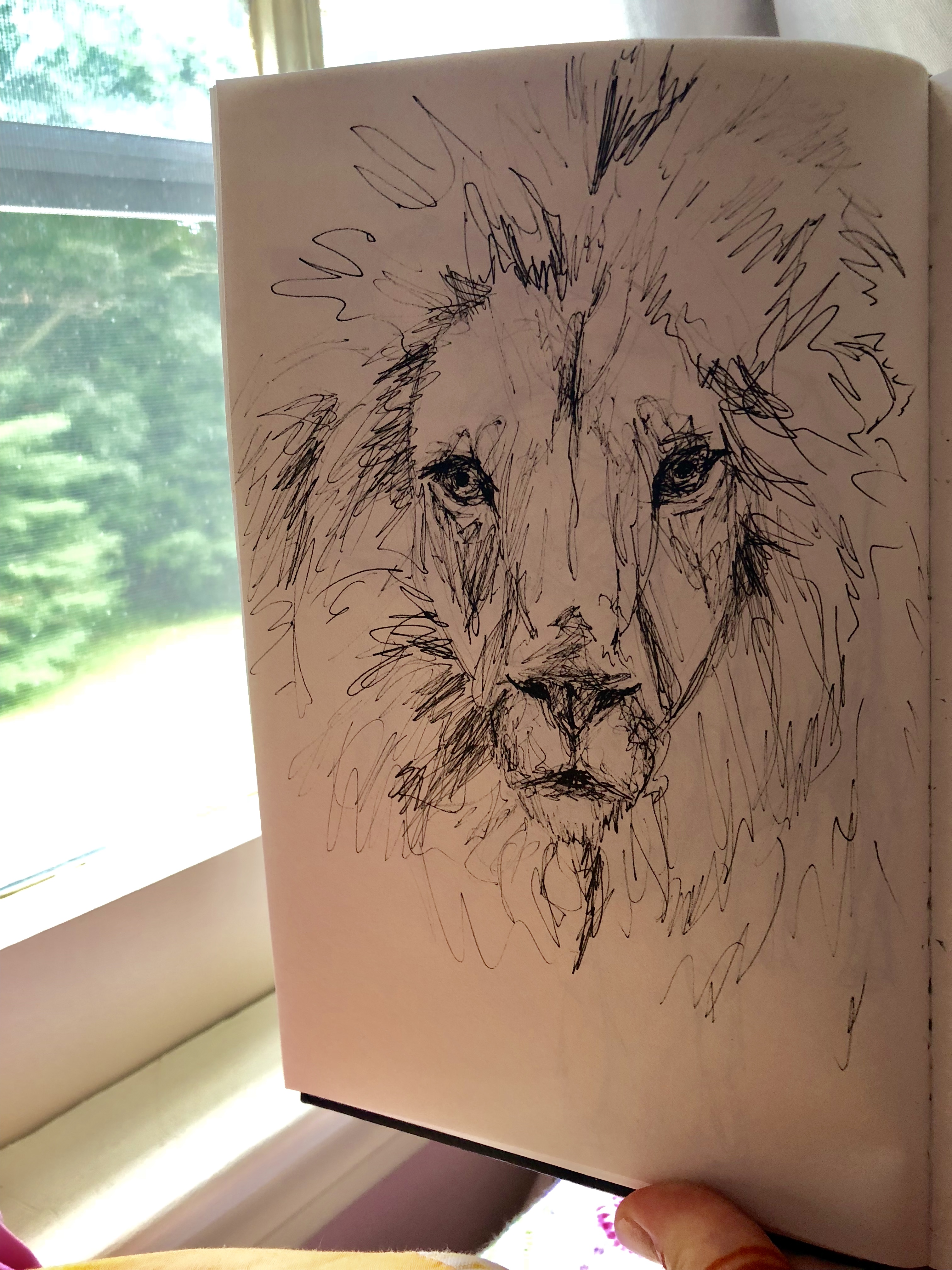 Lion