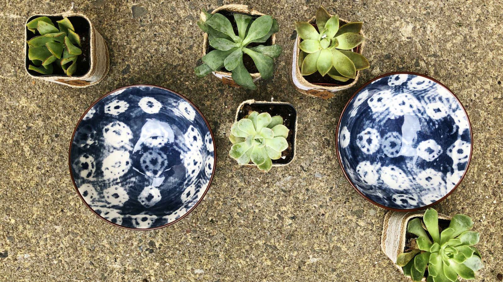 Sibio, Blog Header 15