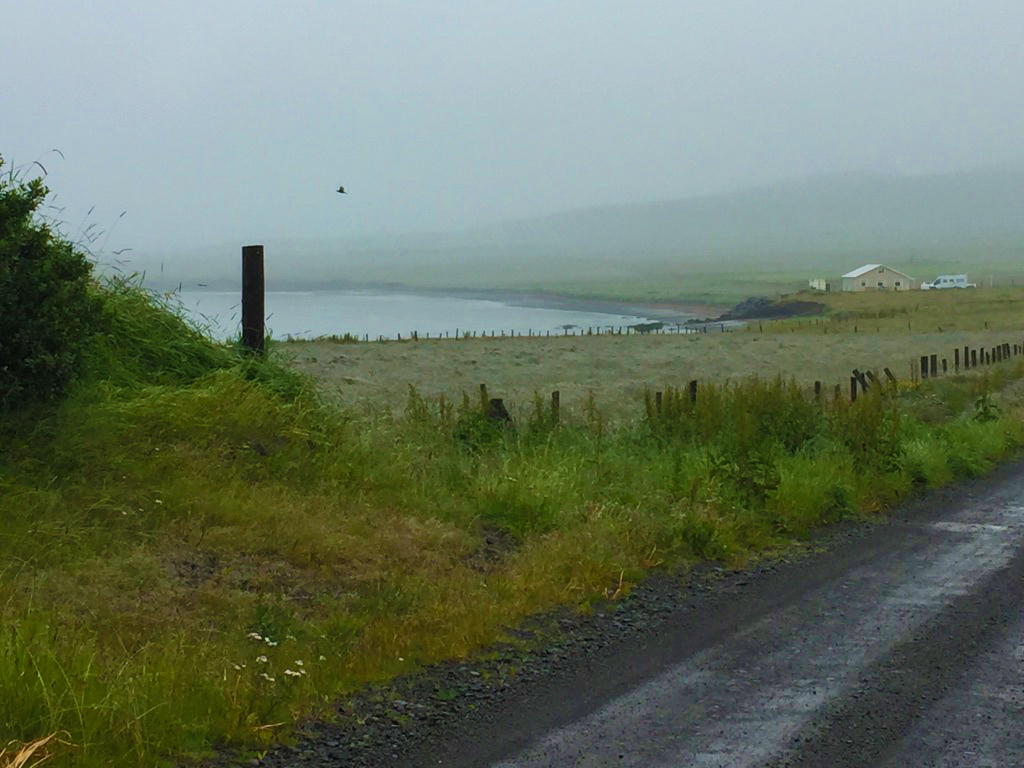 2. Daily walk along Húnaflói Bay