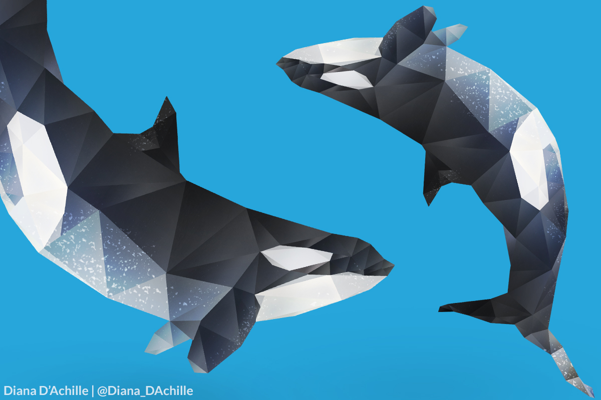 diana-dachille-orca-featured-image