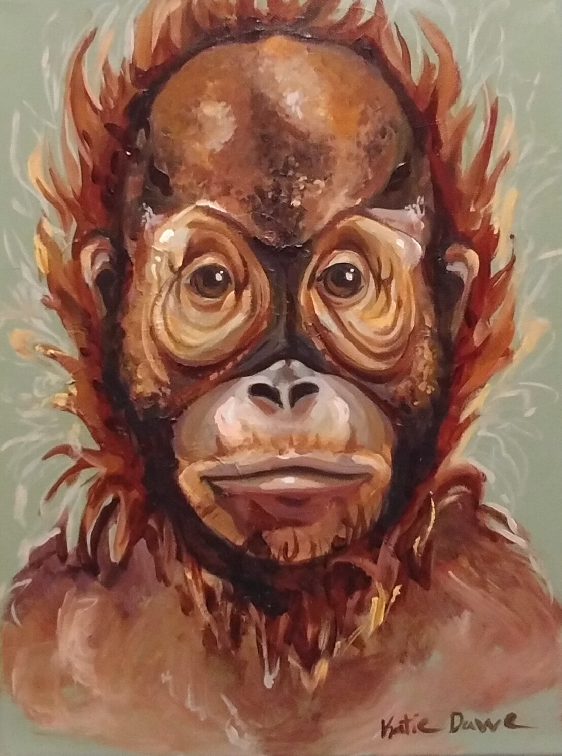 Orangutan