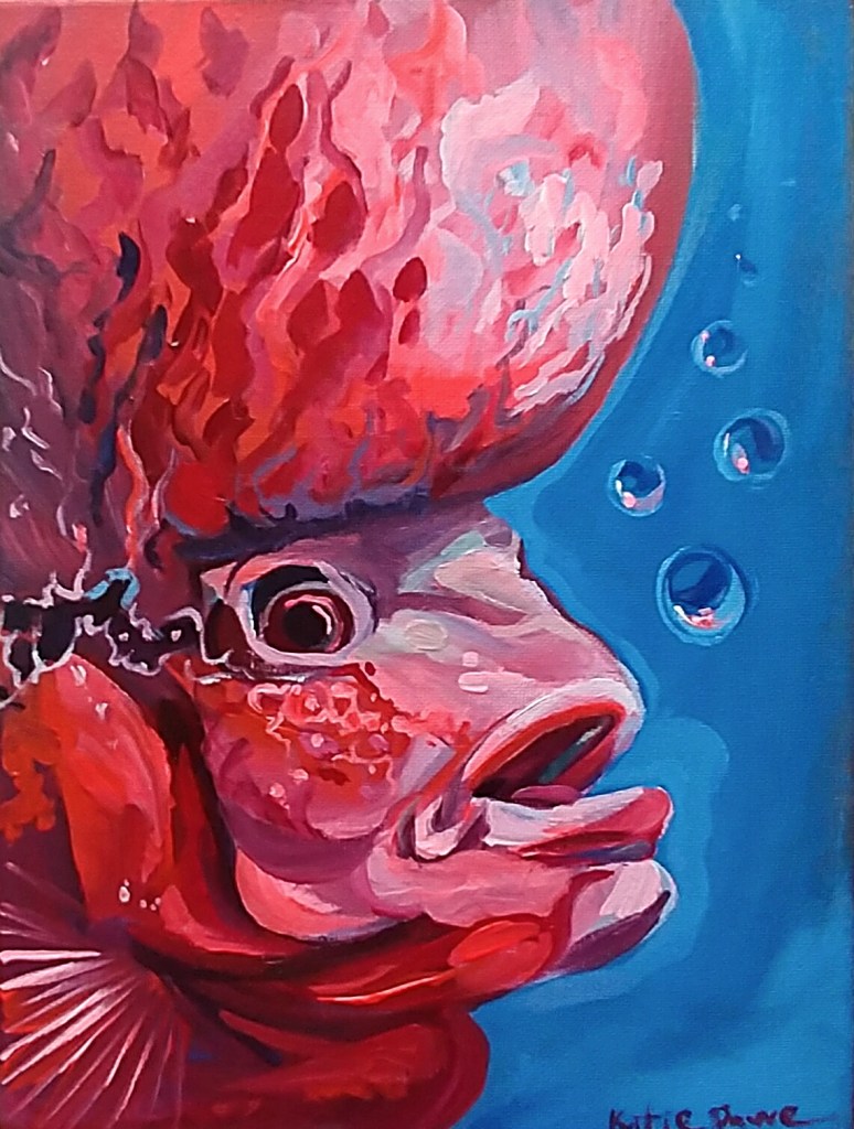 Flower Horn Fish