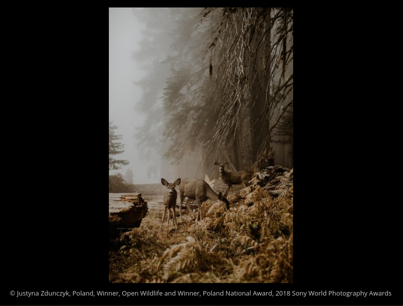 Screenshot 2019-05-27 at 11.06.09 AM - Edited