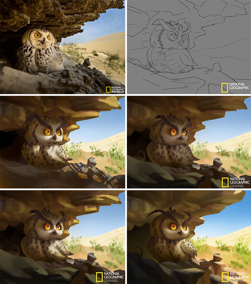 National-Geographic-Pictures-Into-Illustrations 3