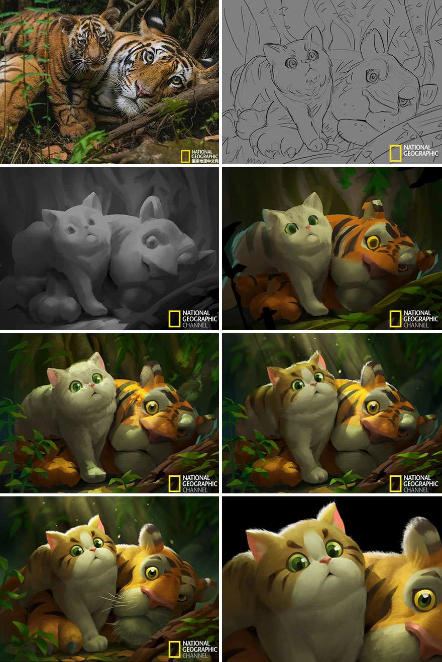 National-Geographic-Pictures-Into-Illustrations-5