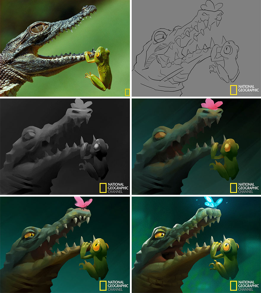 National-Geographic-Pictures-Into-Illustrations
