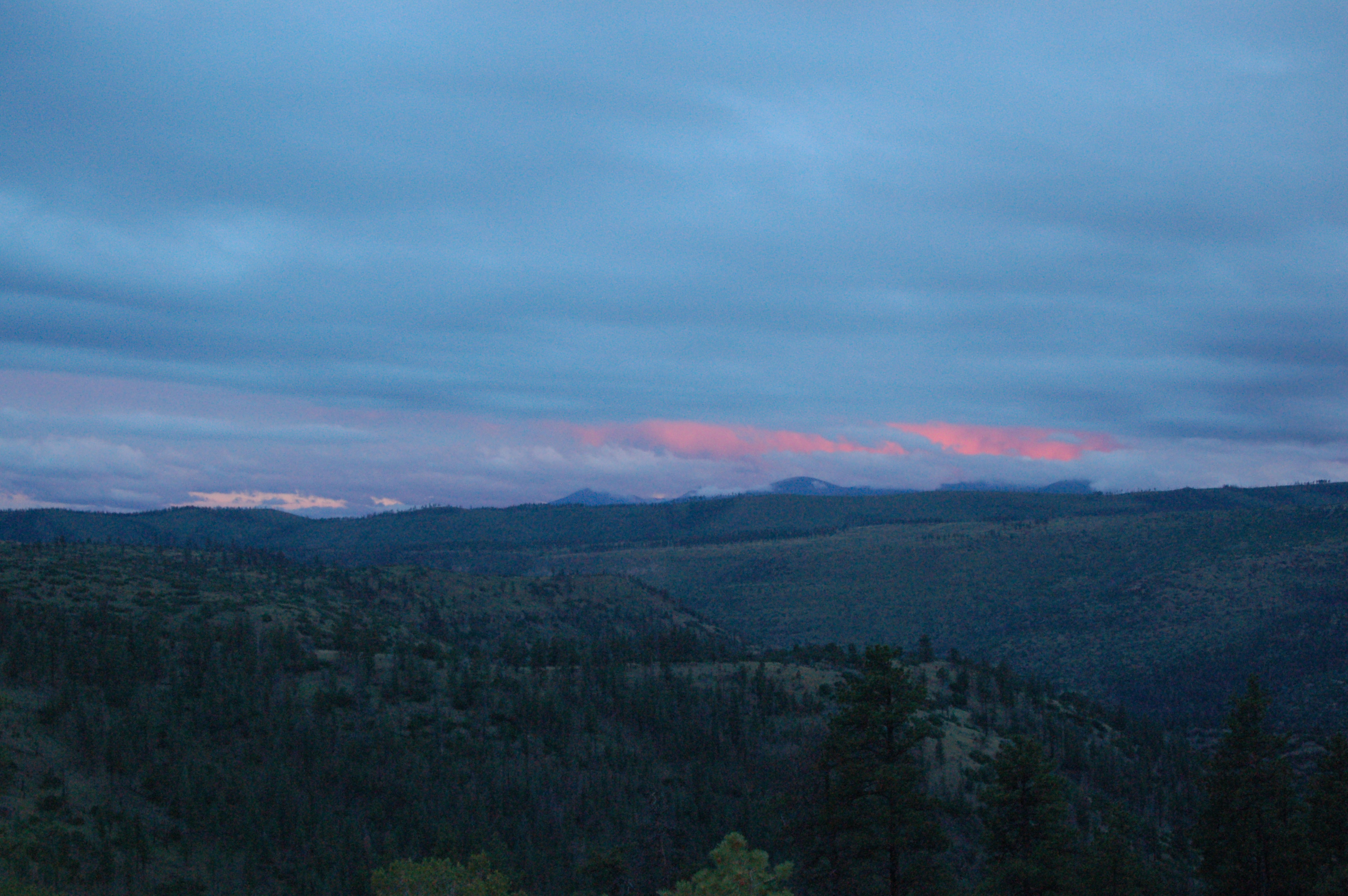 DSC_0410.JPG