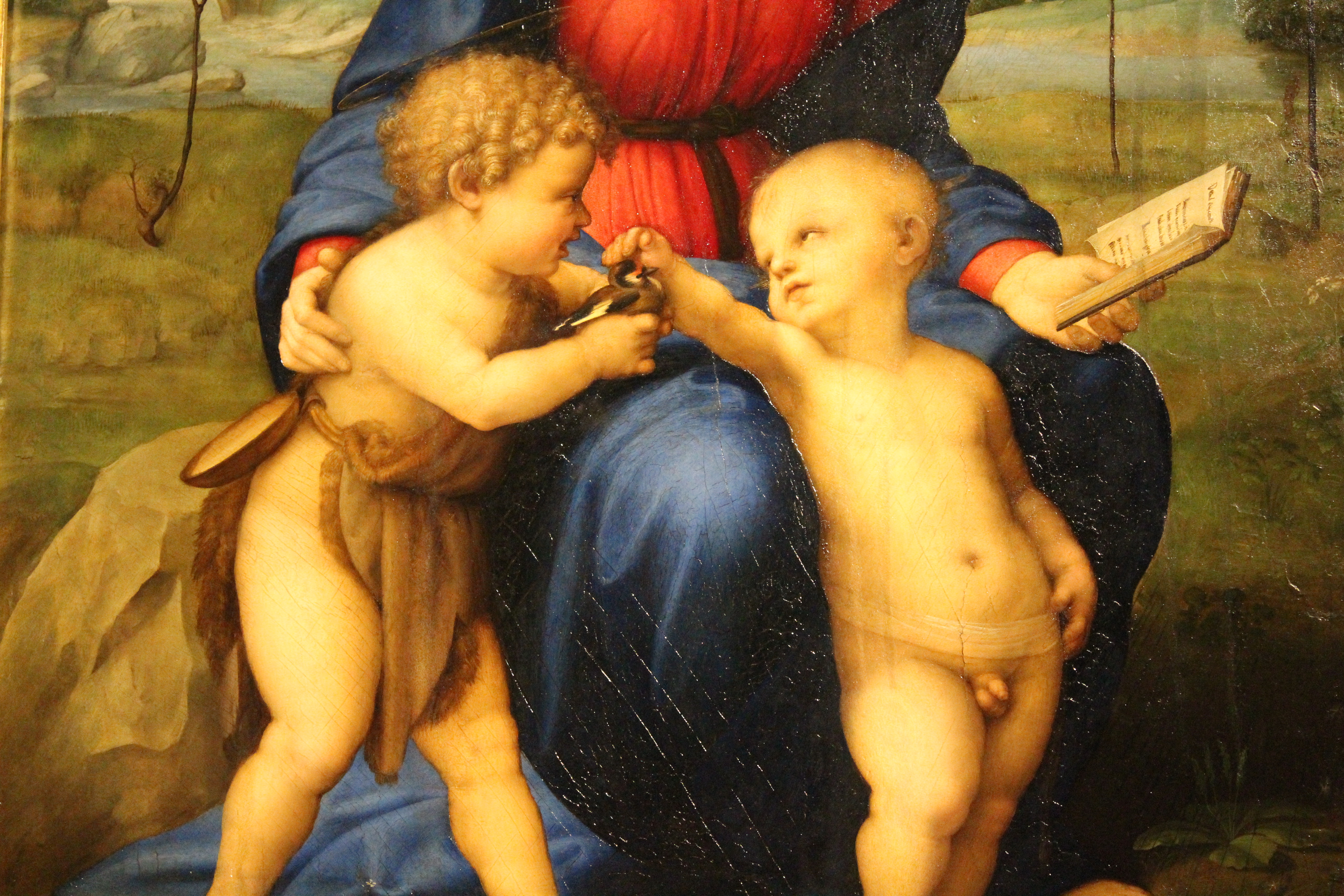 close up of Madonna of the Goldfinch