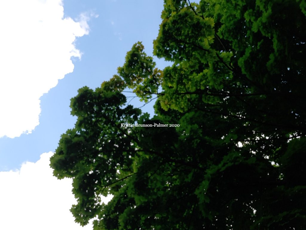 Kristin Brunson-Palmer Kristin Brunson-Palmer