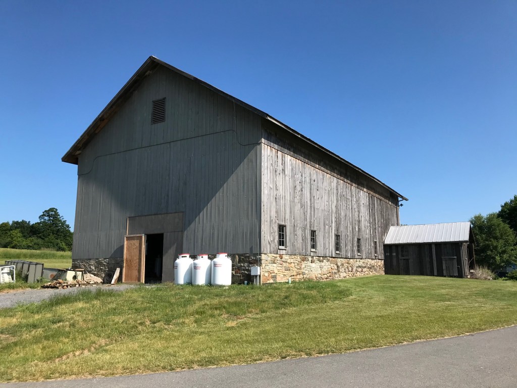 The Barn