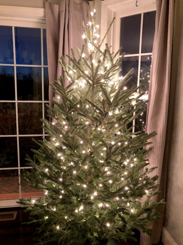 tree with lights