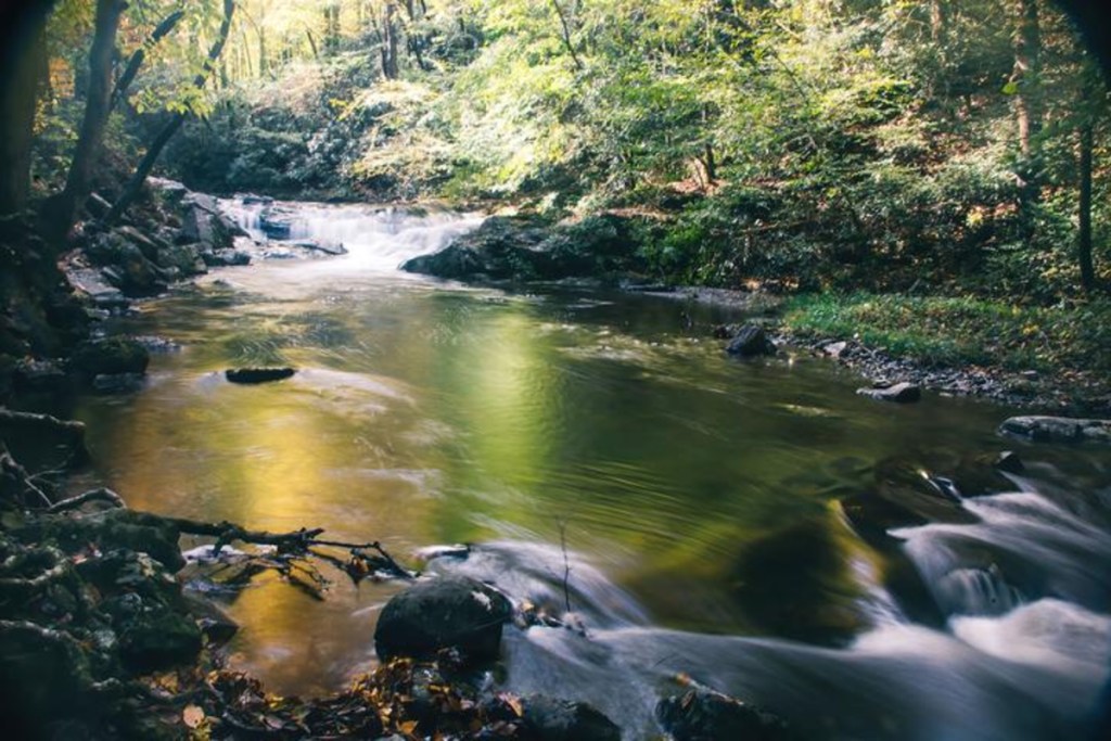 Emerald Serenade - Great Smoky Mountains National Park