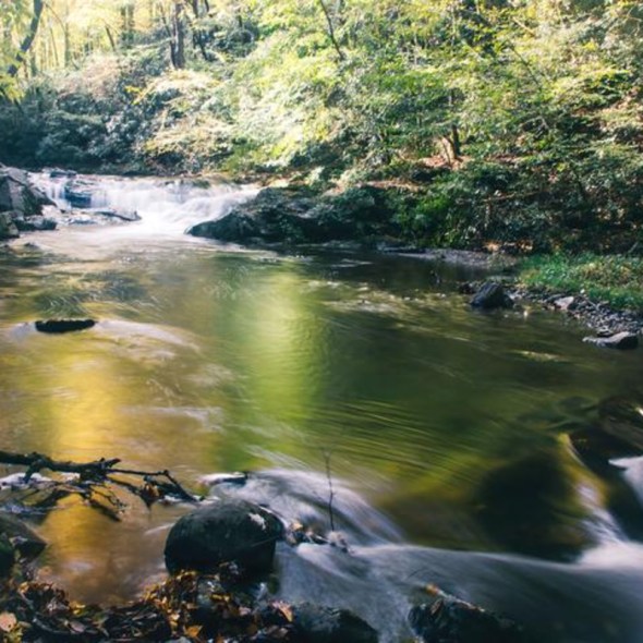 Emerald Serenade - Great Smoky Mountains National Park