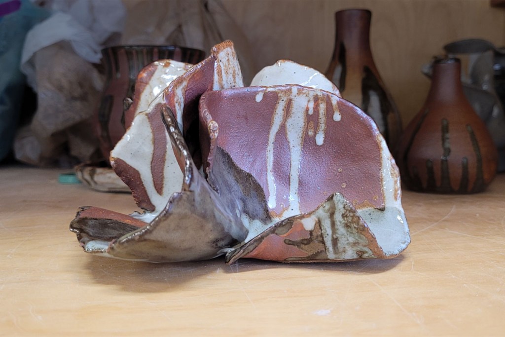 Tumnus Moran Ceramics Pinch Pot Reef Side B