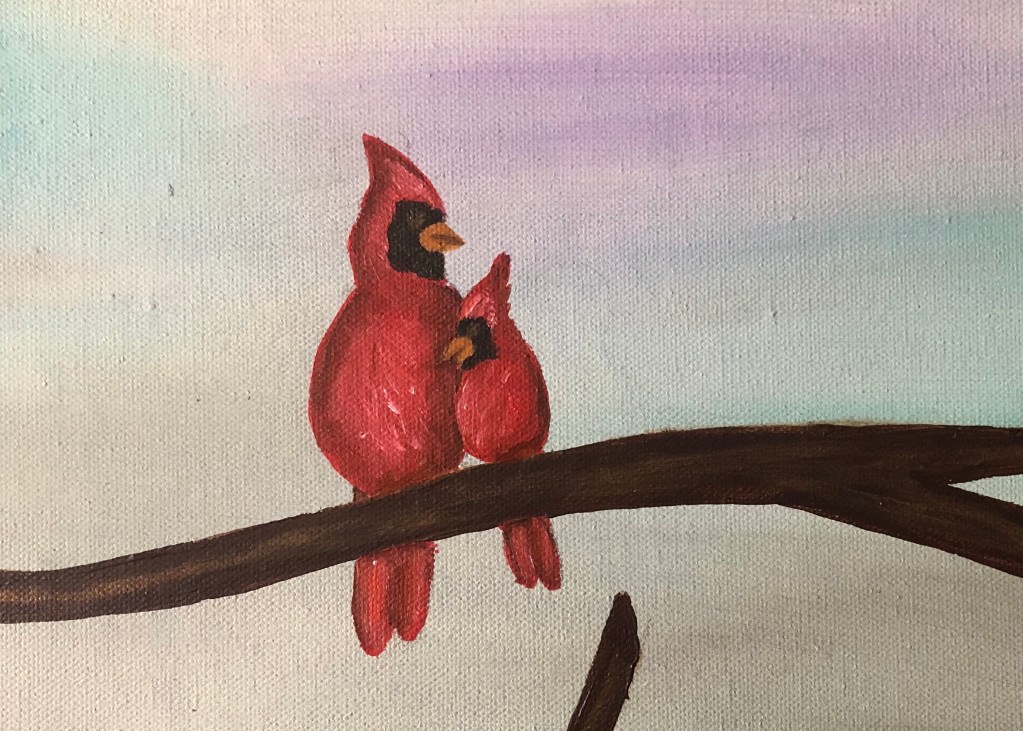 Close Up - Cardinals