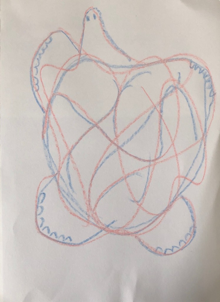 Turtle Scribble Drawing