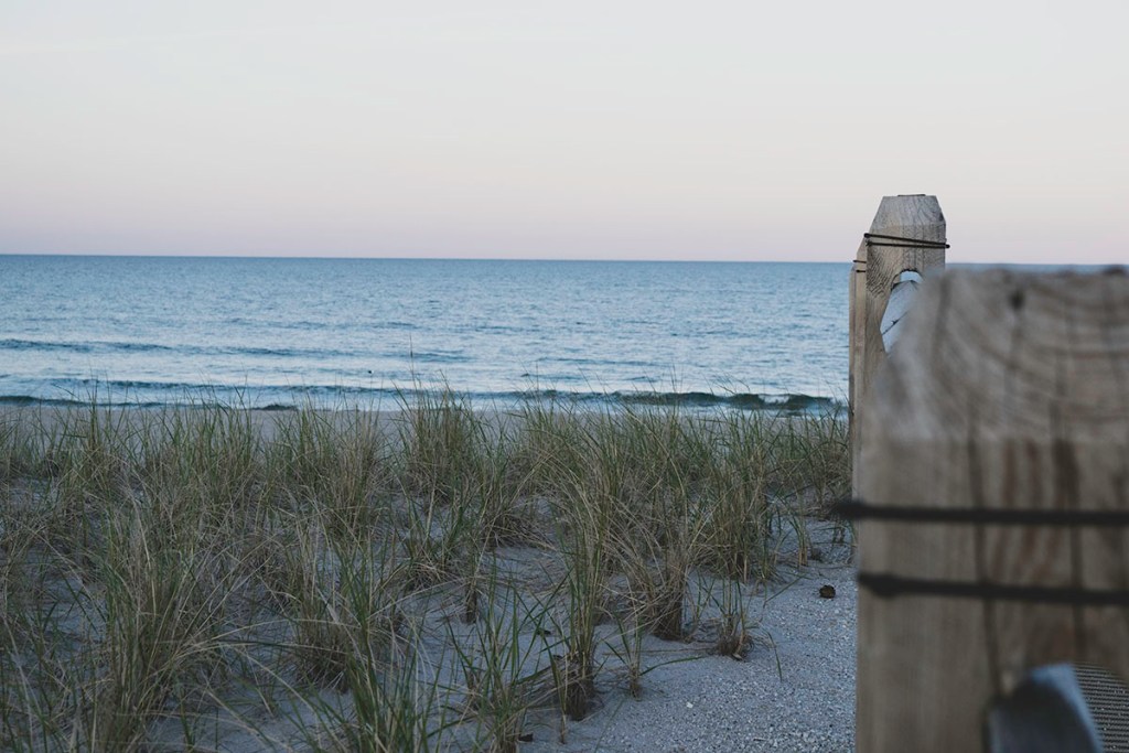 Leading to the beach 