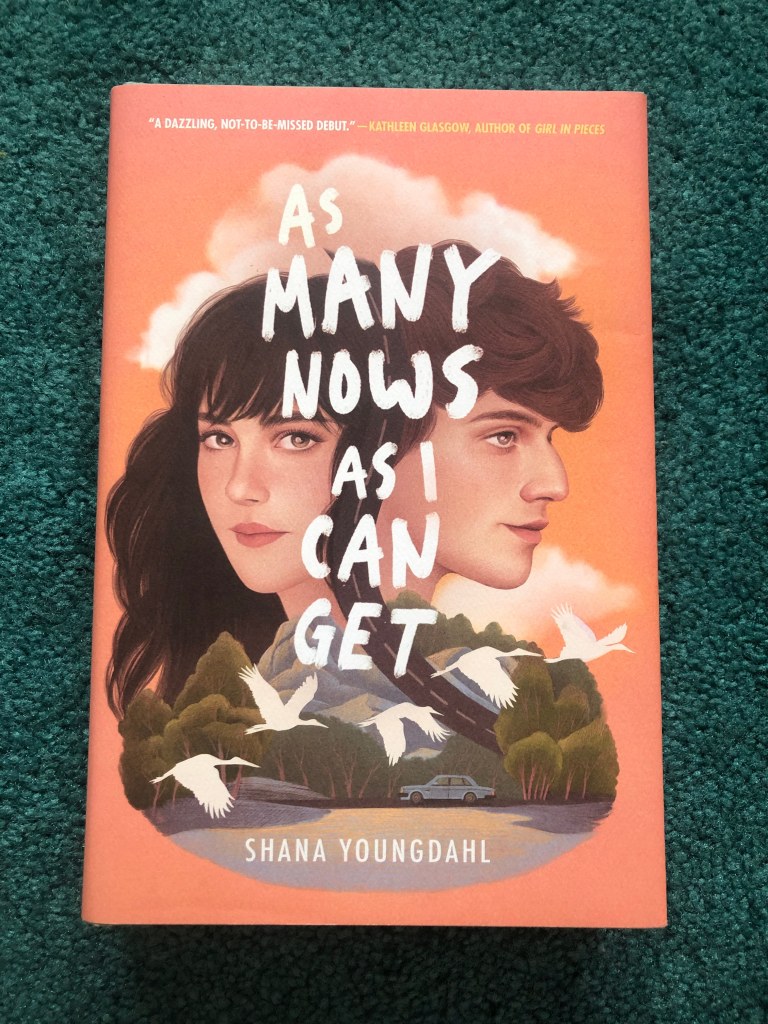 As Many Nows As I Can Get Book