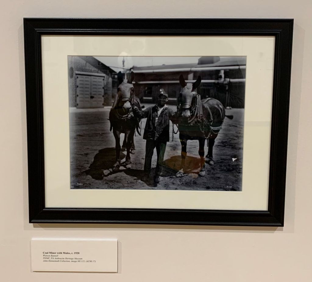 Coal Miner with Mules, c. 1920, Watson Bunnell