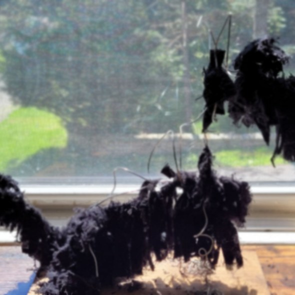 Tumnus Moran Father's Day Dog Part Two Featured Image