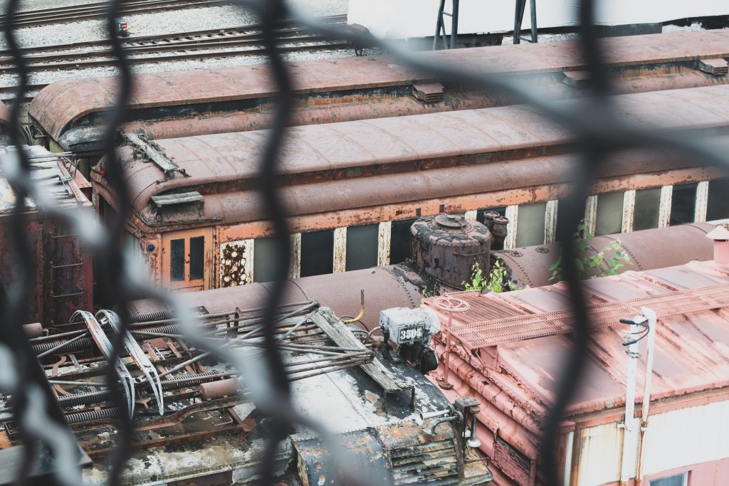 Looking through fence