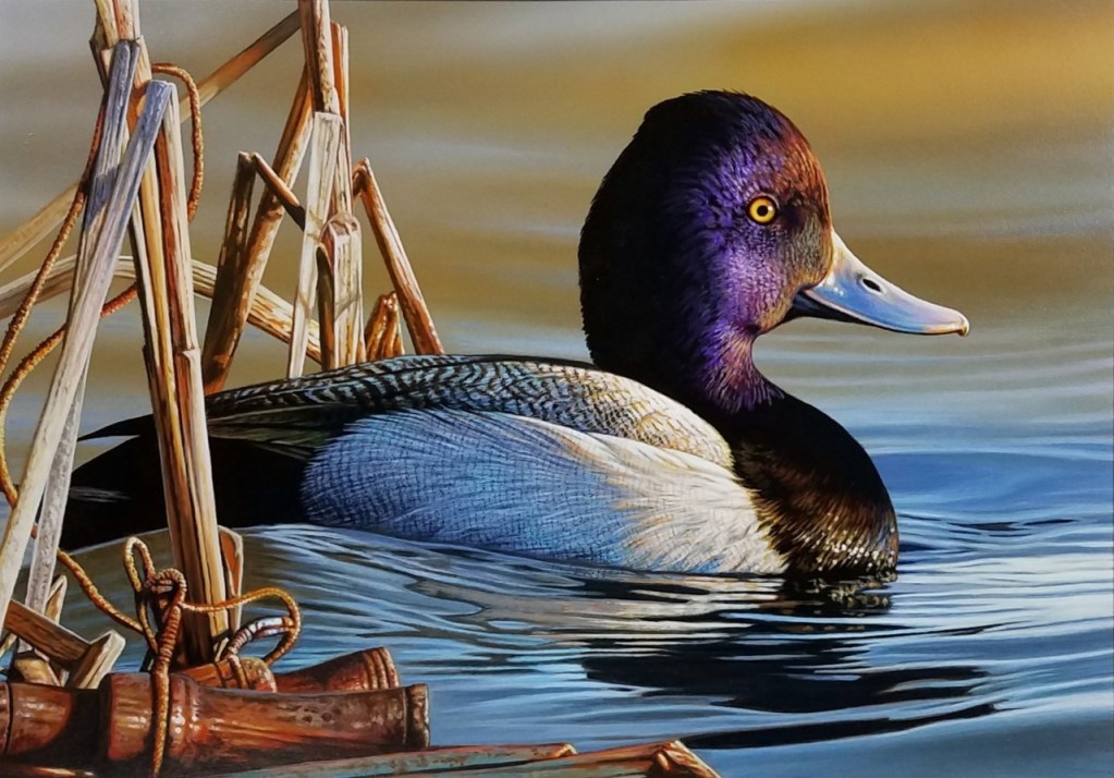 Federal Duck Stamp 1st Place 2020