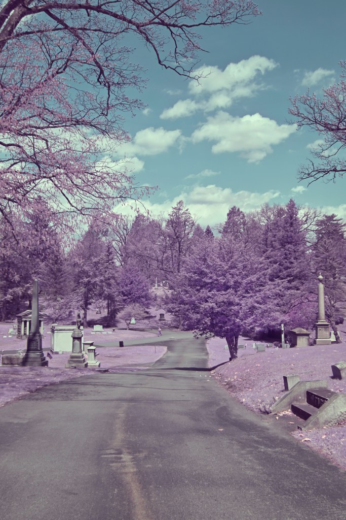 Infrared Path pt2