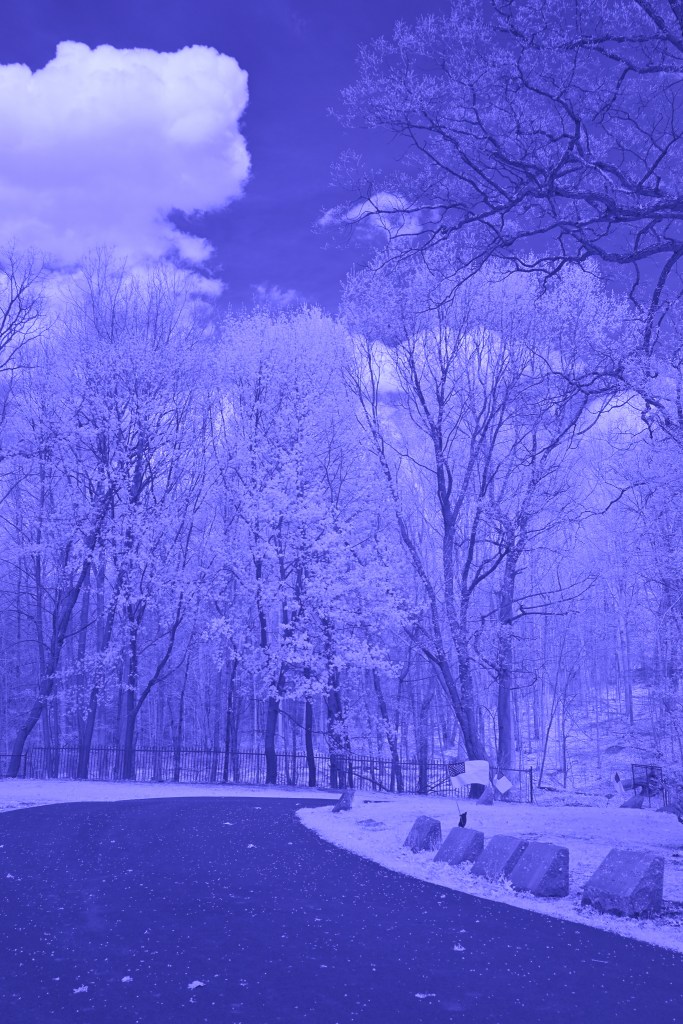 Infrared Path pt 3 