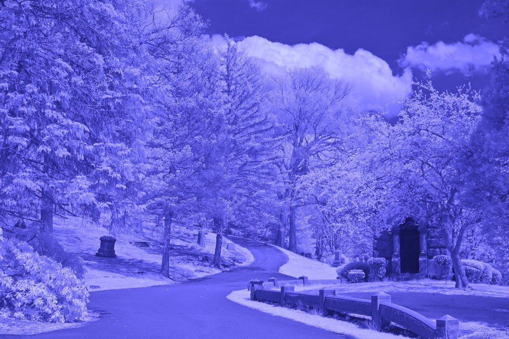 Infrared Path 