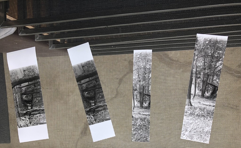 Test Strip two