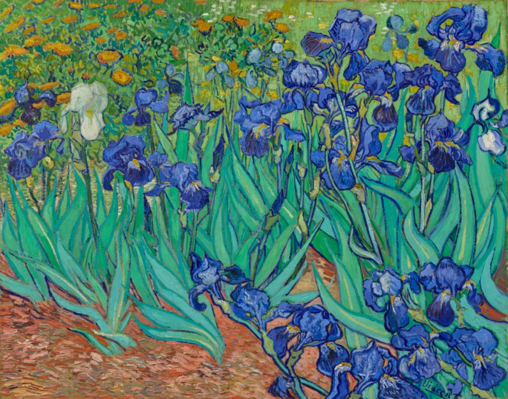 Irises Van Gogh