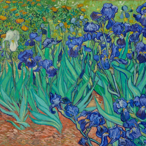 Irises Van Gogh