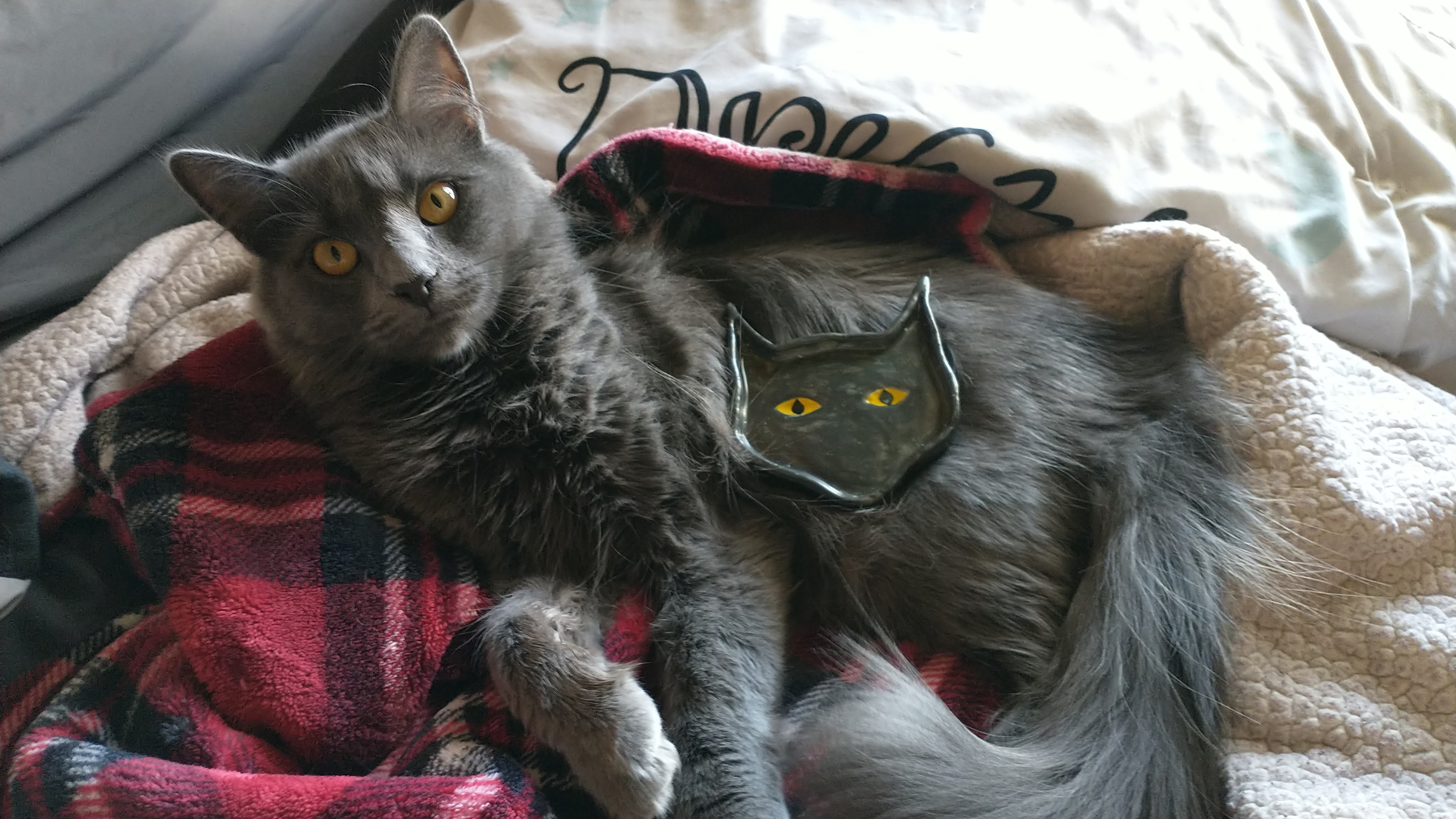 Azazel the Cat Food Dish – Where Creativity Works