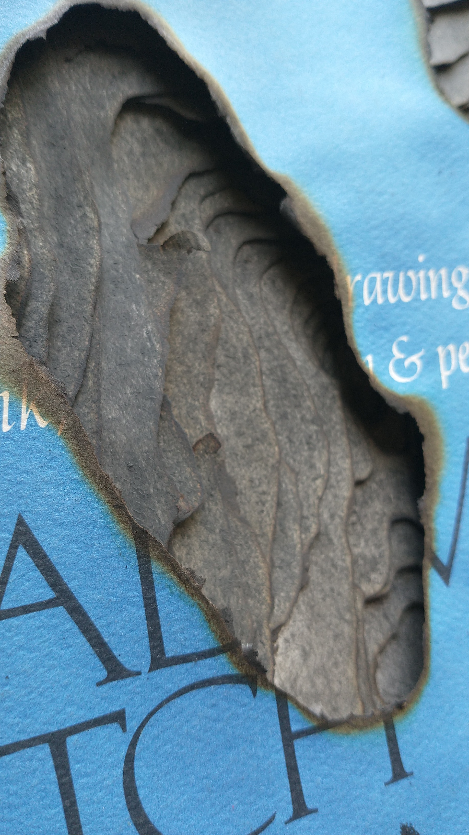 Void Where Creativity Works