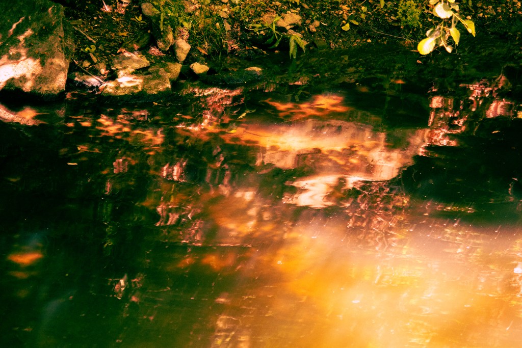 Photo of the reflections of water