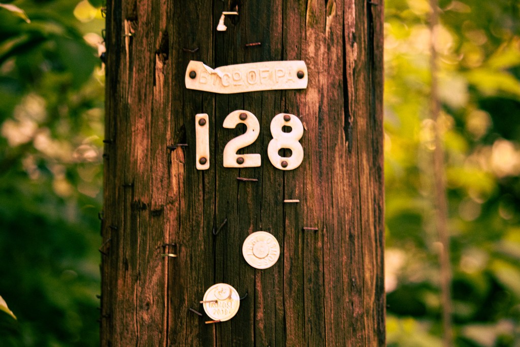 Photo of a wooden telephone pole with the numbers “128” posted on it. 