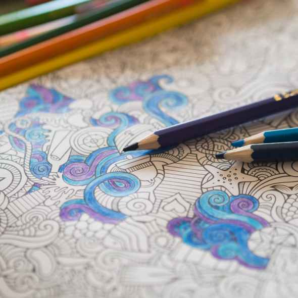 close up shot of colored pencils