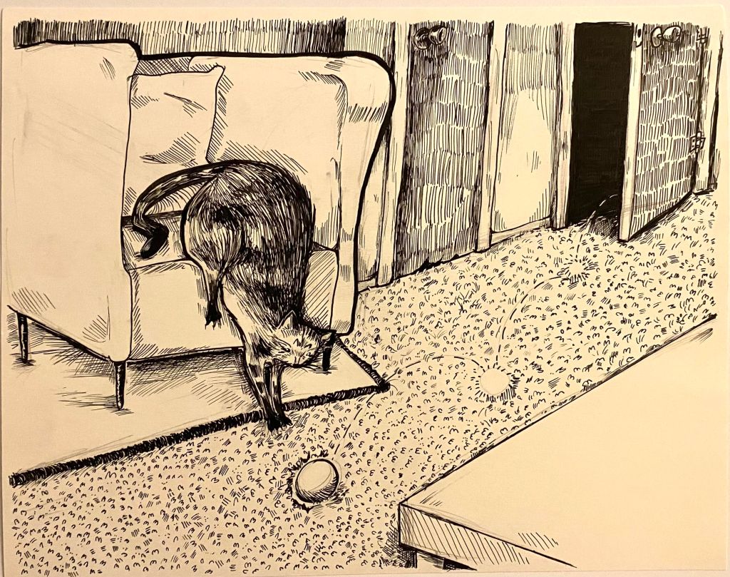 A curious little cat