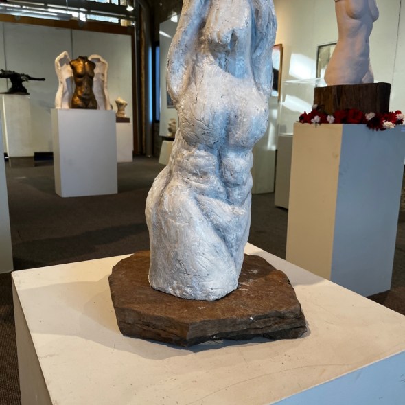 Front view of female torso