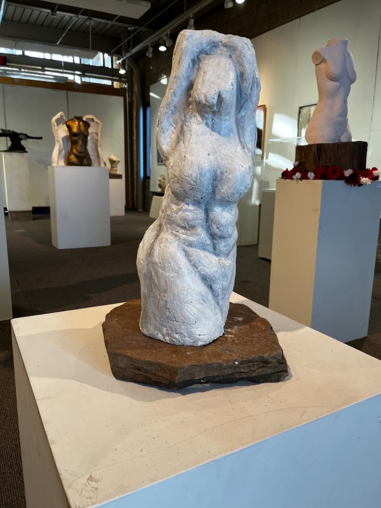 Front view of female torso