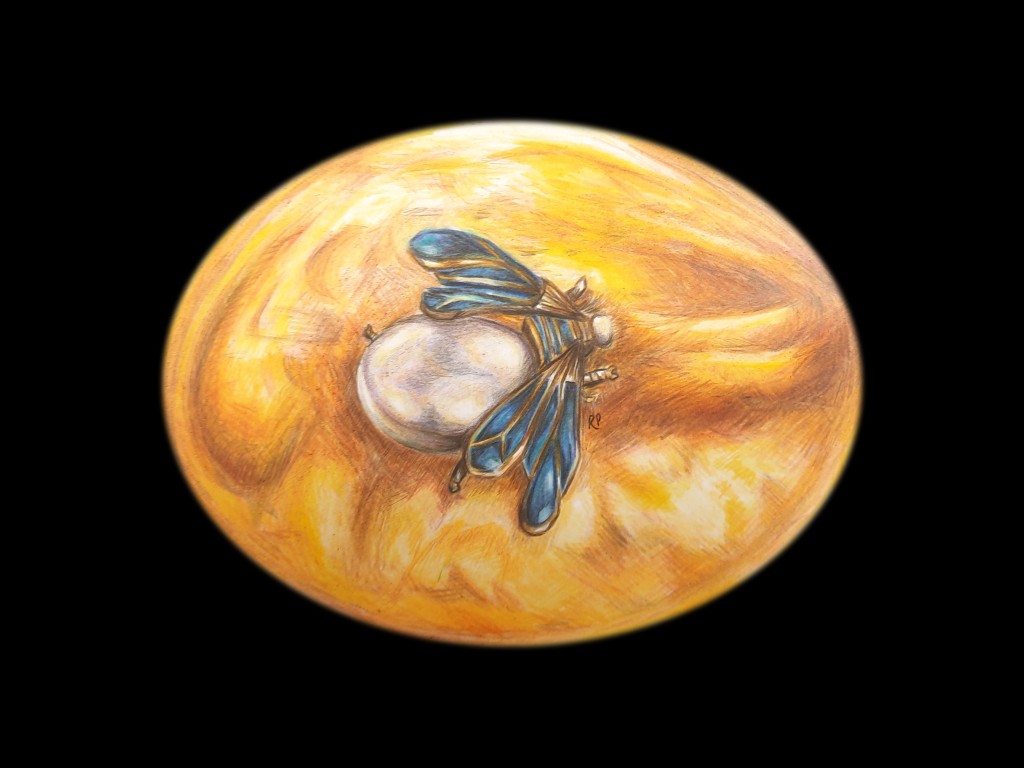 Work by Rebecca Prowse