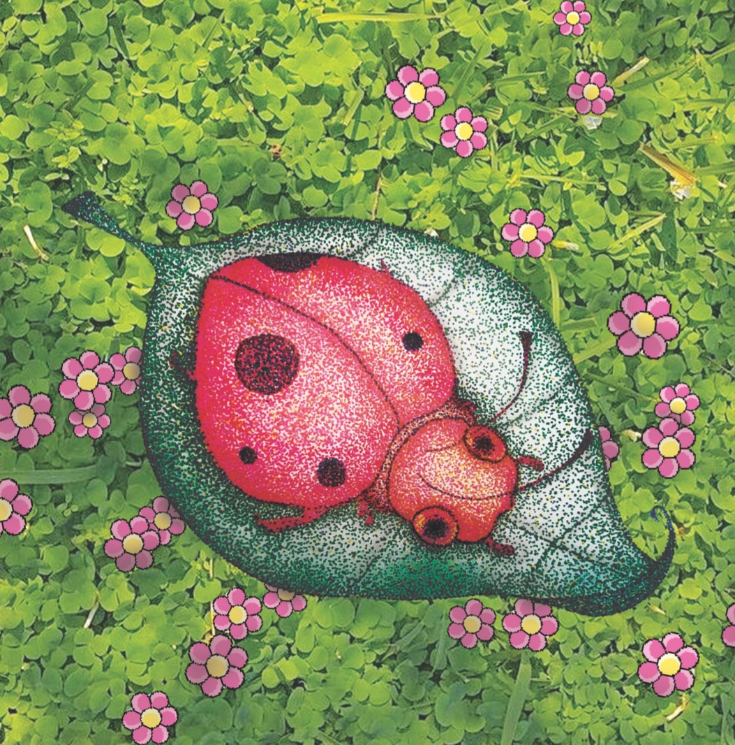 Stipple Bug Multimedia – Where Creativity Works