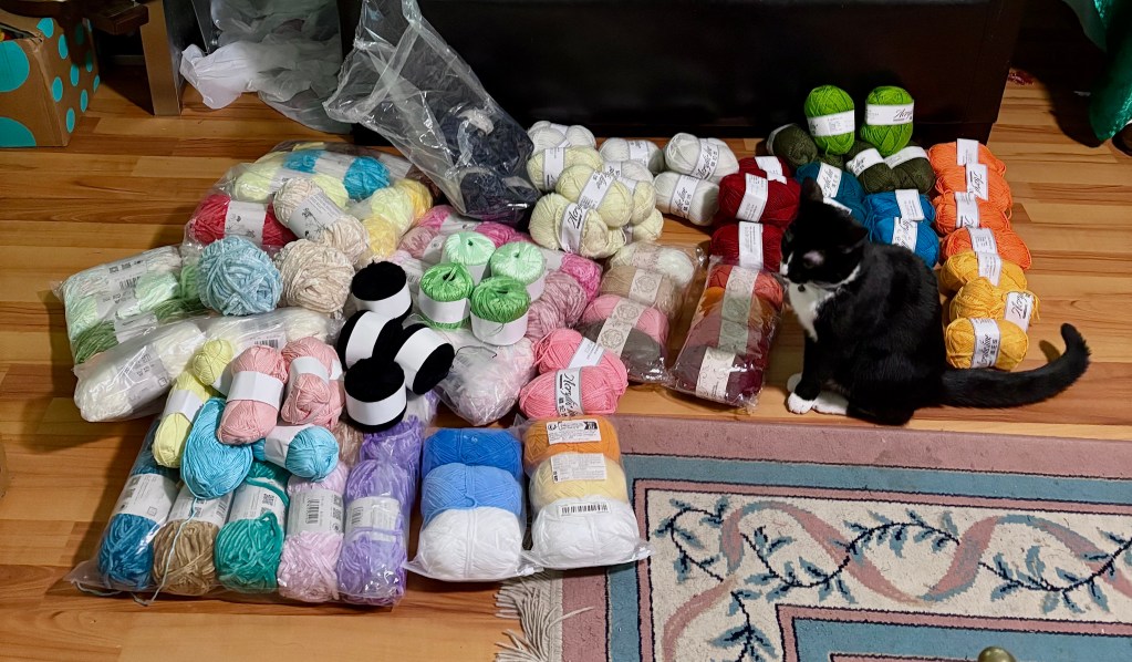 A giant pile of yarn I purchased, plus my cat sitting among it looking very displeased