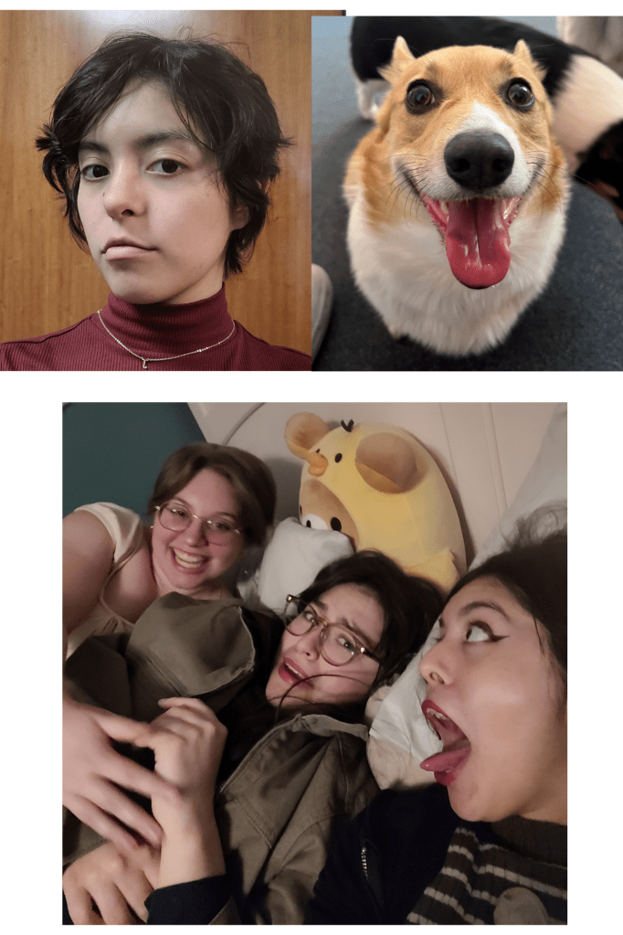 Self Portrait References