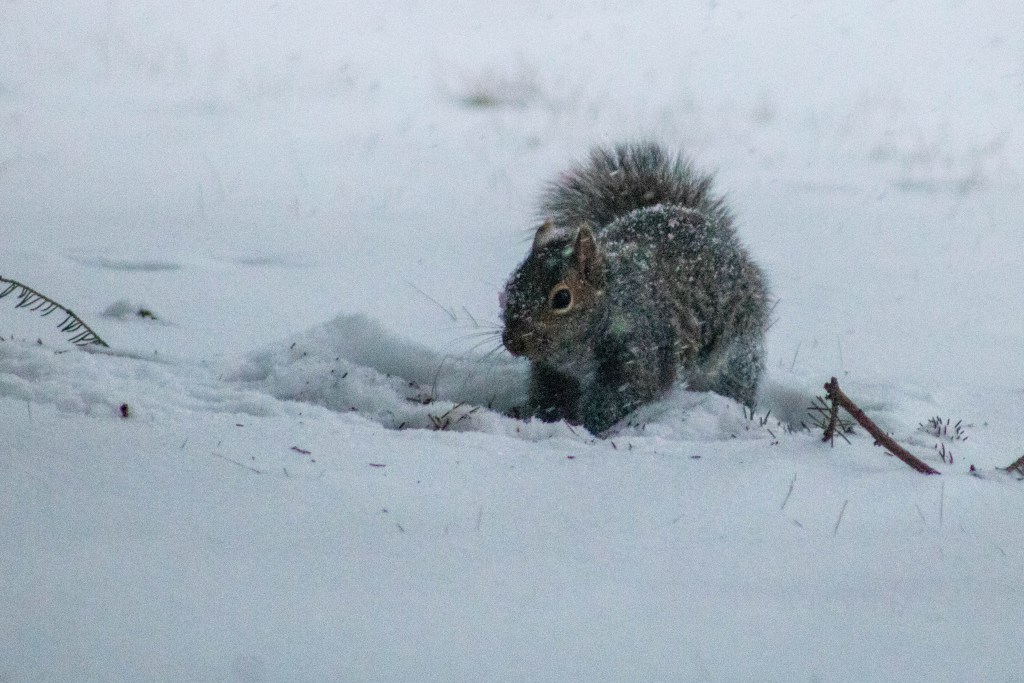 Harsh Cold by ConchitaMXZ Rivera