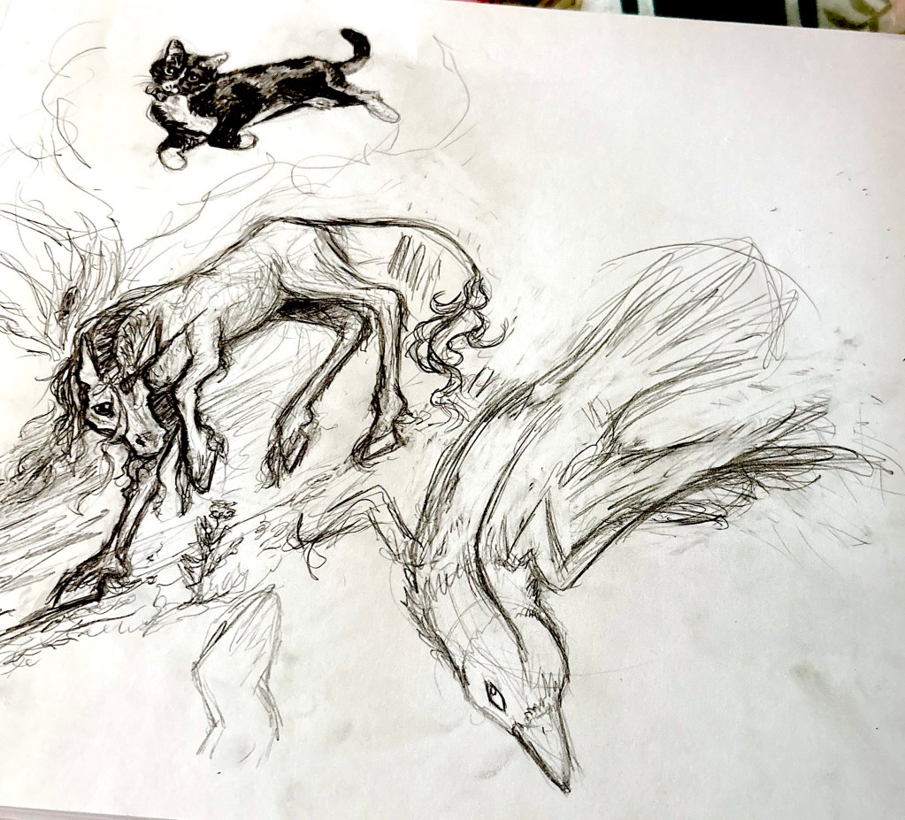 Redraw of a crow with a cat