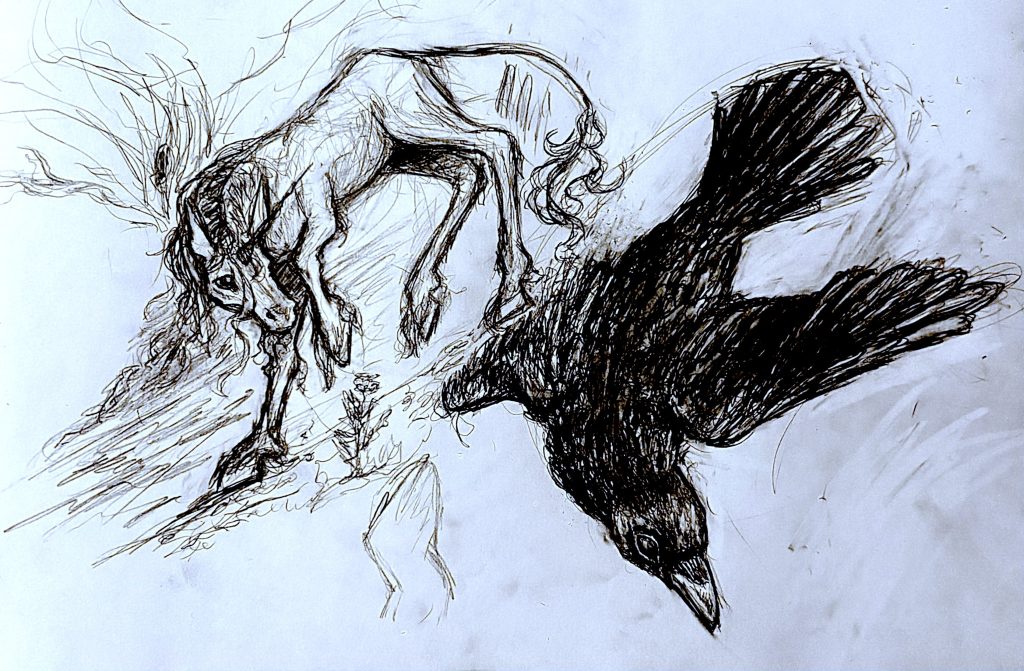 Crow and unicorn pencil sketch